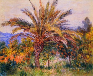  Monet Galerie - Eine Palme bei Bordighera Claude Monet